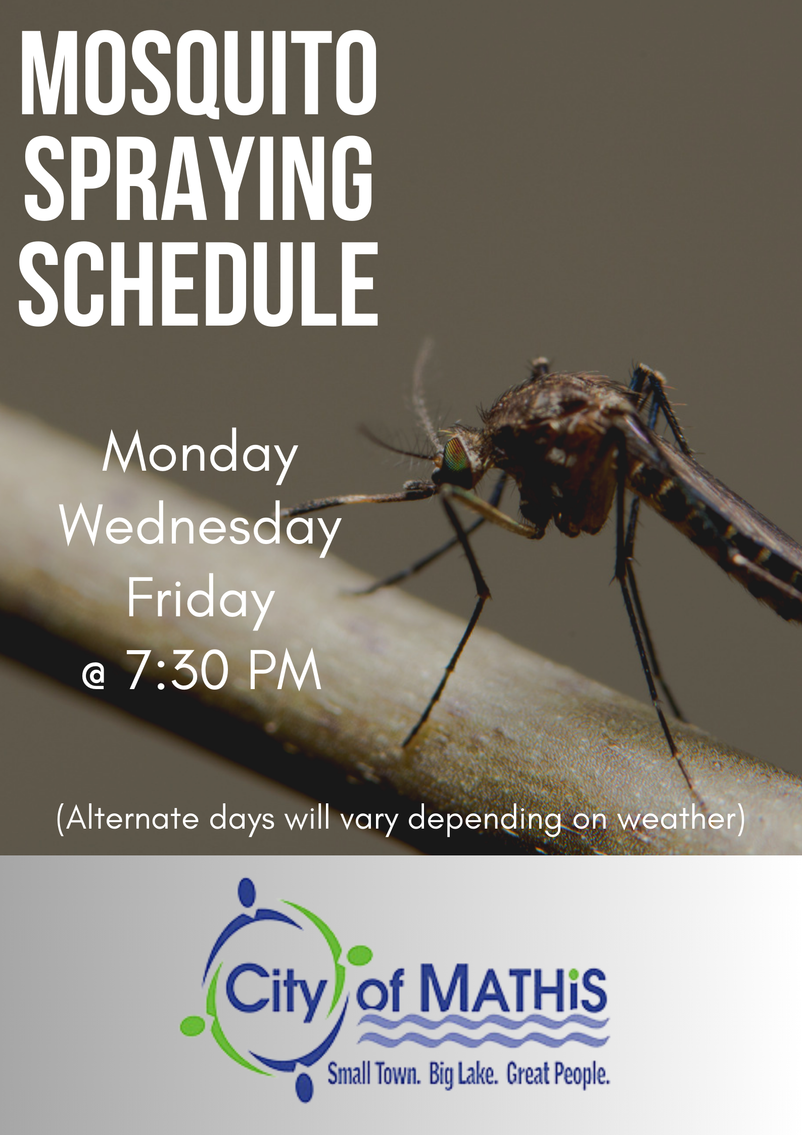 Black and Beige Mosquito World Malaria Day Poster (1)